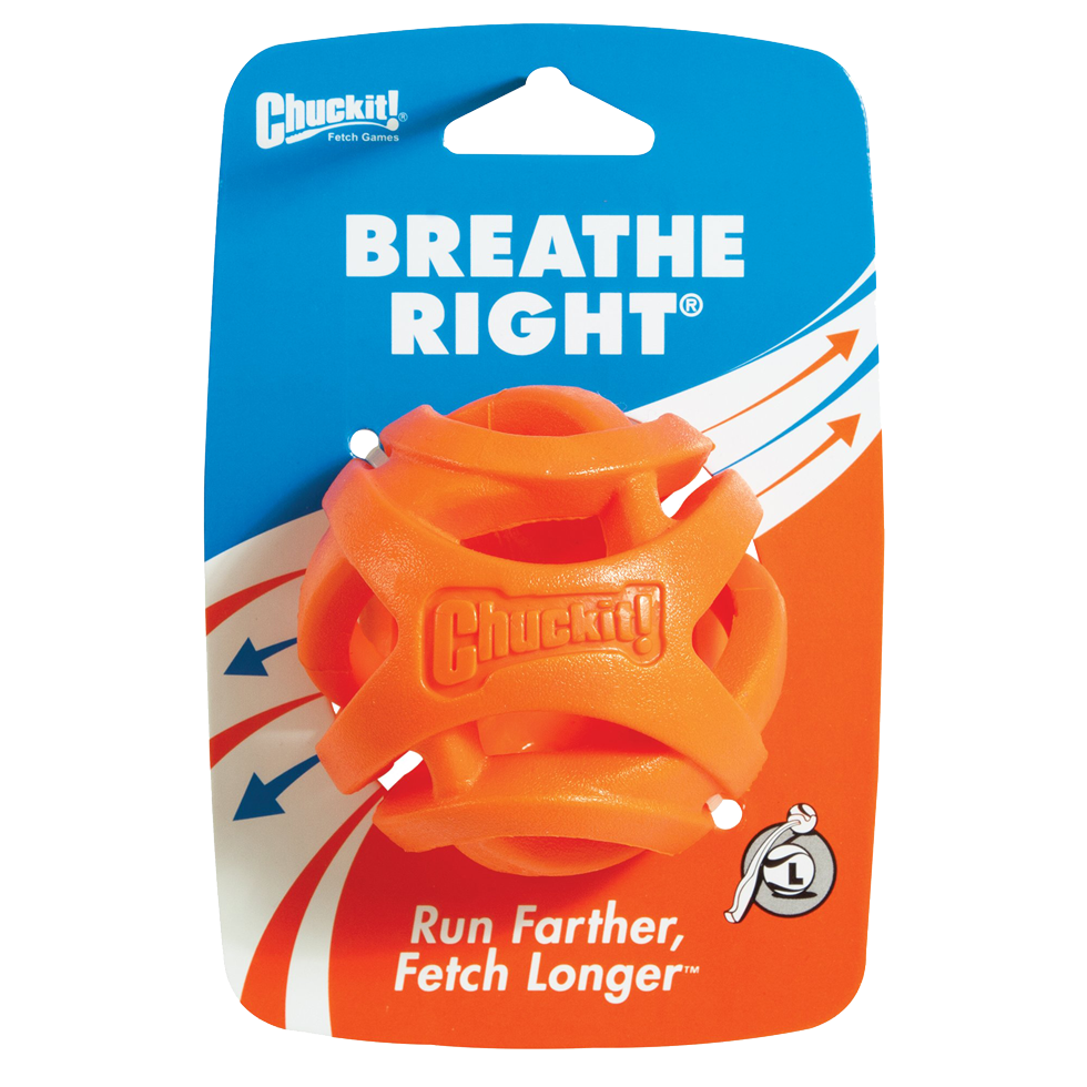 CHUCKIT BREATHE RGHT FTCH BALL L 1ST