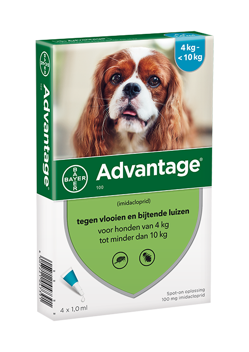 ADVANTAGE HOND 100 4-10KG 4PIP