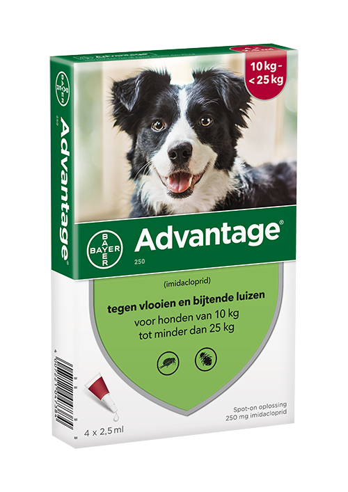 ADVANTAGE HOND 250 10-25KG 4PIP