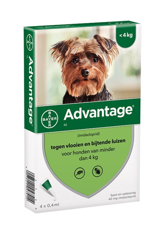 ADVANTAGE HOND 40 <4KG 4PIP