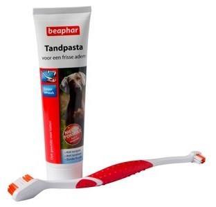 BEAPHAR TANDPASTA+BORSTEL 1ST