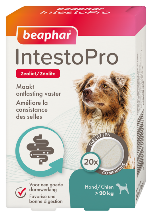 BEAPHAR INTESTOPRO HOND>20KG 20ST
