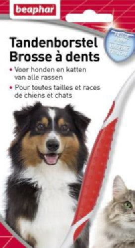 BEAPHAR TANDENBORSTEL 1ST