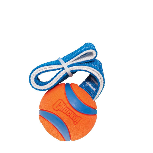CHUCKIT ULTRA TUG M 6CM 1ST