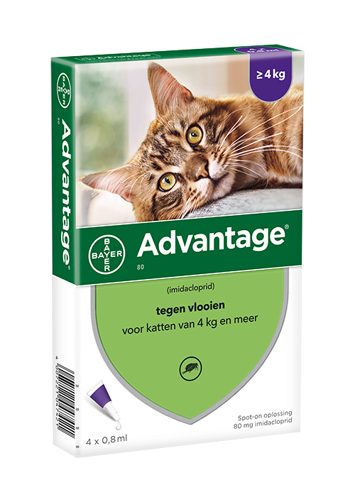 ADVANTAGE KAT 80 >4KG 4PIP