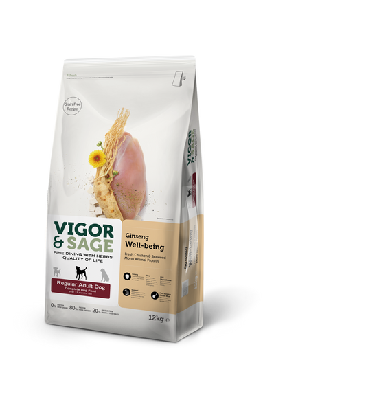 V&S DOG ADULT REG WELLB GINSENG 12KG