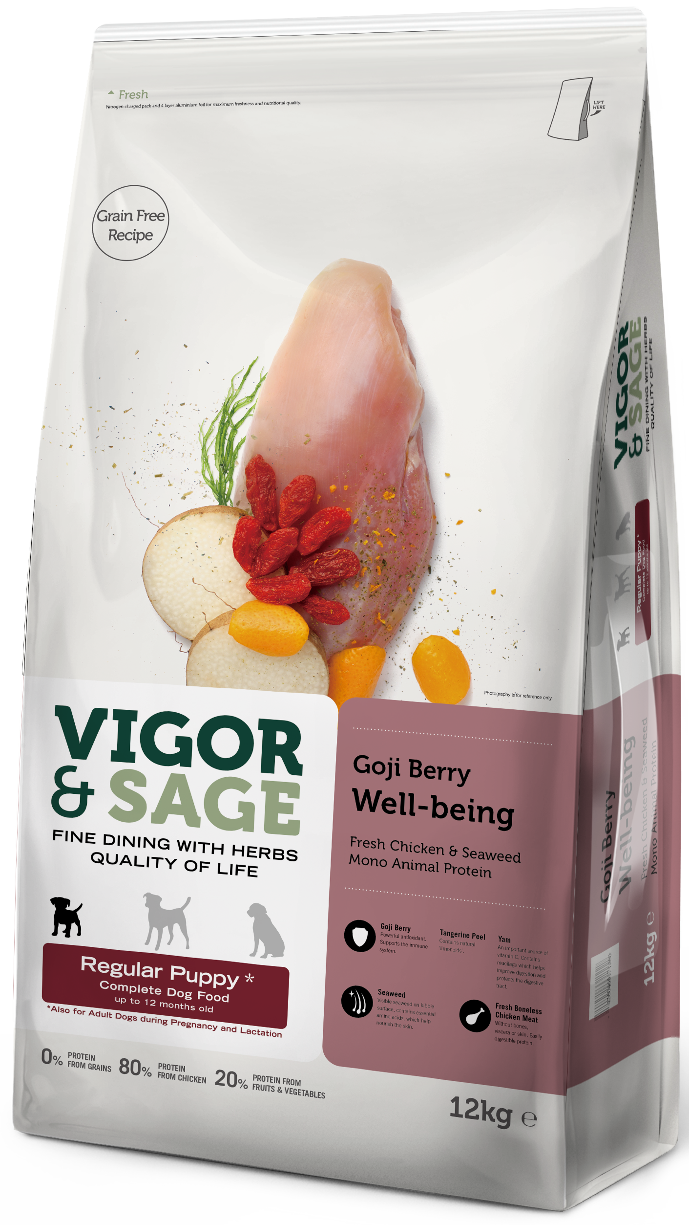 V&S PUP REG WELLBEING GOJIBERRY 12KG