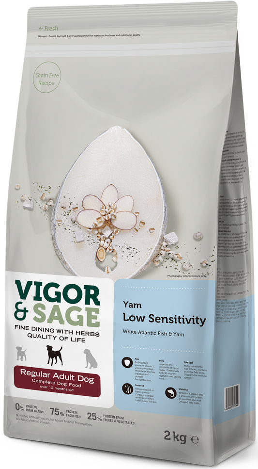 V&S DOG ADULT REG LOW SENS YAM 2KG