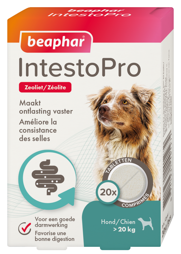BEAPHAR INTESTOPRO HOND>20KG 20ST
